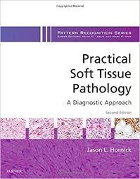 Practical Soft Tissue Pathology: A Diagnostic Approach: A Volume in the Pattern Recognition Series, 2e