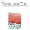 Tissue and Cell Volume 80