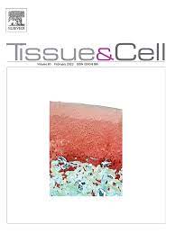 Tissue and Cell Volume 81