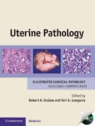 Uterine Pathology (Cambridge Illustrated Surgical Pathology) 1 Har/Cdr Edition