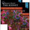 Brenner and Rector's The Kidney