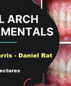 Full Arch Fundamentals (9 Lectures)