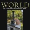 World Neurosurgery PDF