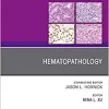 Hematopathology, An Issue of Surgical Pathology Clinics (Volume 12-3) (The Clinics: Surgery, Volume 12-3) (PDF)