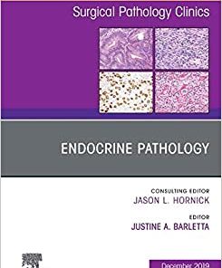 Endocrine Pathology, An Issue of Surgical Pathology Clinics (Volume 12-4) (The Clinics: Surgery, Volume 12-4) (PDF)