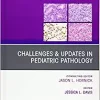 Challenges & Updates in Pediatric Pathology, An Issue of Surgical Pathology Clinics (Volume 13-4) (The Clinics: Surgery, Volume 13-4) (PDF)