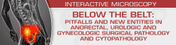 BELOW THE BELT Pitfalls and New Entities in Anorectal, Urologic and Gynecologic Surgical Pathology and Cytopathology
