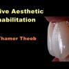 Video Dental Adhesive Aesthetic Rehabilitation (Course)