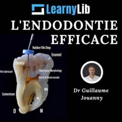 LearnyLib L’Endodontie Efficace – Guillaume Jouanny (Francais) (Course)