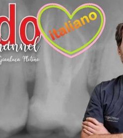 Endo Channel, L’Eccellenza nel Trattamento Endodontico Reso Facile / Gianluca Plotino  (Course)