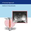 MRI of the Prostate: A Practical Approach (PDF Book)