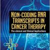 Non-coding Rna Transcripts in Cancer Therapy: Pre-clinical and Clinical Implications (PDF Book)