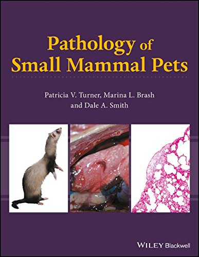Pathology of Small Mammal Pets (PDF Book)