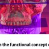 Occlusion in the Functional Concept of Slavicek