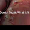 Part 1: Occlusion for the Dental Team: What is it and Why Do We Care