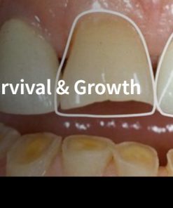 Evolution of a Practice: Survival & Growth