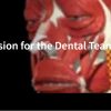 Part 4: A Deeper Look at Occlusion for the Dental Team: Periodontium and Dentition