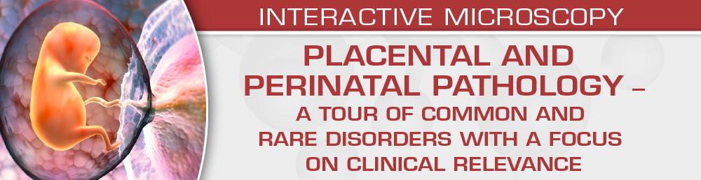 Placental and Perinatal Pathology A Tour of Common and Rare Disorders with a Focus on Clinical Relevance