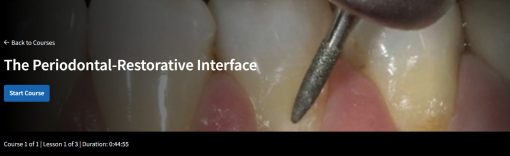 The Periodontal-Restorative Interface