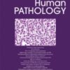 Human Pathology PDF