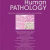 Human Pathology PDF