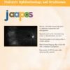 Journal Of American Association For Pediatric Ophthalmology And Strabismus Volume 27, Issue 4