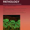 The American Journal of Pathology PDF