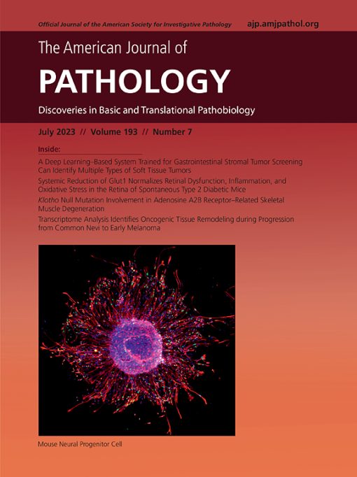 The American Journal of Pathology PDF