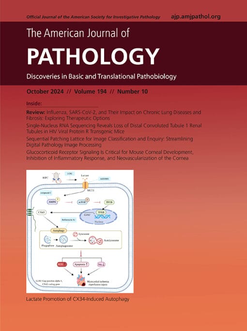 The American Journal of Pathology PDF