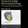 Understanding Clinical Cardiac Electrophysiology: A Conceptually Guided Approach