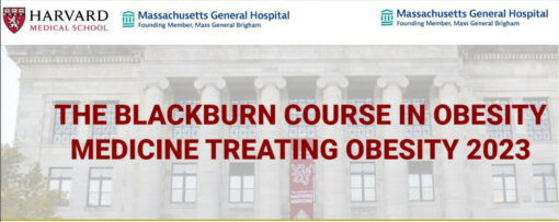 Harvard The Blackburn Course in Obesity Medicine Treating Obesity (Course 2023)