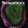 Neuroscience: Volume 508 to Volume 526 2023 PDF