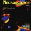 Neuroscience: Volume 508 to Volume 526 2023 PDF