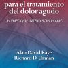 Fundamentos para el tratamiento del dolor agudo Un enfoque interdisciplinario (EPUB)