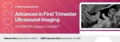 2023 Advances in First Trimester Ultrasound Imaging – DocmedED (Course)