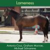 Concise Textbook of Equine Clinical Practice Book 1 (EPUB Book)