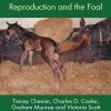 Concise Textbook of Equine Clinical Practice Book 2 (PDF)