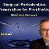 OHI-S Surgical periodontics: preparation for prosthetics (Course)