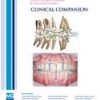 AJO-DO Clinical Companion: Volume 1 (Issue 1 to Issue 4)