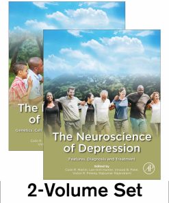 The Neuroscience Of Depression (EPUB)