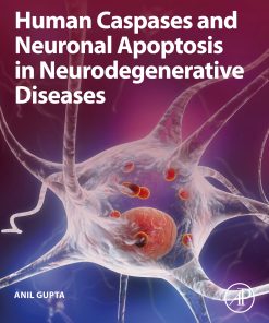 Human Caspases And Neuronal Apoptosis In Neurodegenerative Diseases (PDF)