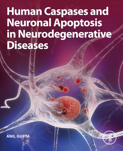 Human Caspases And Neuronal Apoptosis In Neurodegenerative Diseases (PDF)