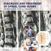 Diagnosis and Treatment of Traumatic Brain Injury (EPUB)