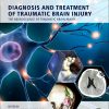 Diagnosis and Treatment of Spinal Cord Injury (EPUB)