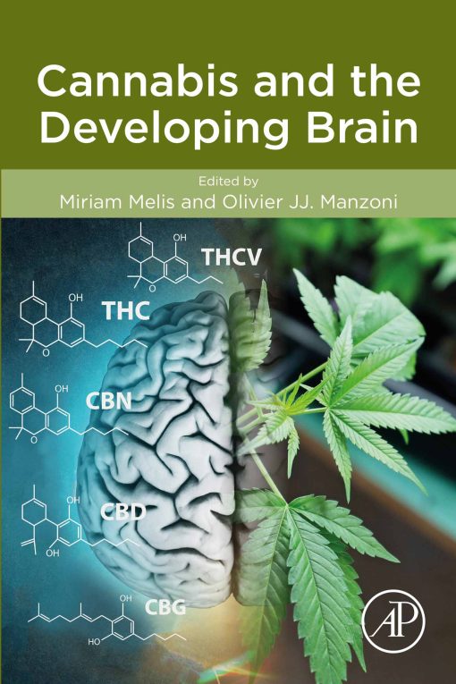 Cannabis and the Developing Brain (EPUB)