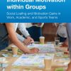 Individual Motivation within Groups: Social Loafing and Motivation Gains in Work, Academic, and Sports Teams (EPUB)