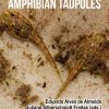 Toxicology Of Amphibian Tadpoles (PDF)