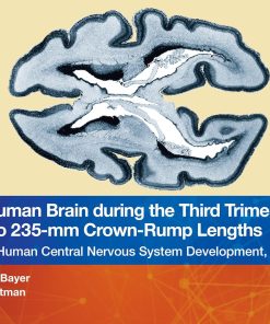 The Human Brain During The Third Trimester 225– To 235–Mm Crown-Rump Lengths: Atlas Of Central Nervous System Development, Volume 11 (Atlas Of Human Central Nervous System Development, 11) (PDF)