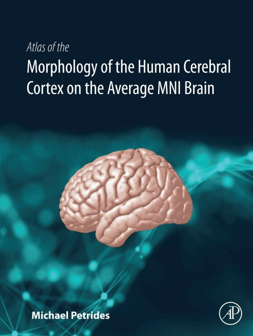 Atlas Of The Morphology Of The Human Cerebral Cortex On The Average MNI Brain (EPUB)