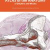 Atlas Of The Anatomy Of Dolphins And Whales (PDF)